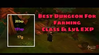 AQ3D | Best Dungeon for farming Class and LvL Exp