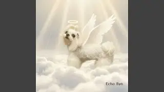 See You at the Rainbow Bridge