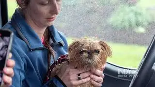 Pet Recovery by Indy Drone Video