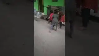 some children beating puppy 🐕🐕🐕🐕🐕👰