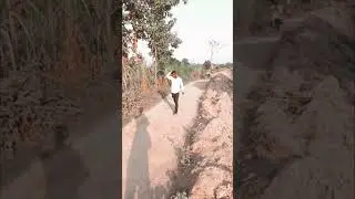 💚#)#trending #trending #trek #tree_magic I am in india namaste I am in india I will #corbett #nestl