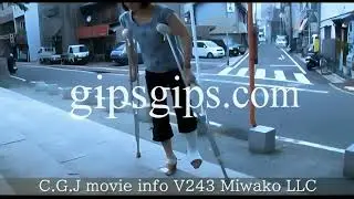 V243 Miwako LLC