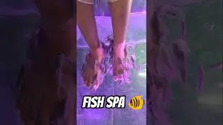 🐠Fish Spa ​💸 காசு கொடுத்து மீன்கிட்ட கடி வாங்கினேன்! Paid for a FISH BITE MASSAGE! 🐟 #FishPedicure​