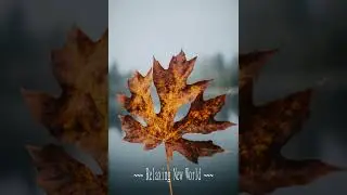 Beyond Silence: Meditation Music for Deep Awareness & Cosmic Peace