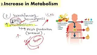 E-19 Environmental influence on human physiology under exercise.