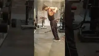 The Best Chest Exercises for Growth