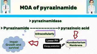 Mechanism of Action of Pyrazinamide | MOA of pyrazinamide