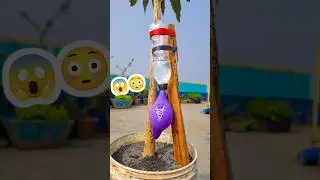 Home garden hack that actually work when you&rsquo;re so far away from home! #reels #tricks