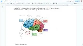 ARRT MRI Registry Exam Review - Part 2