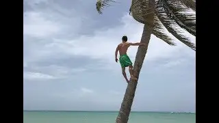 Caribbean Visuals