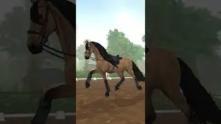 #horse #horses #sso #starstablehorses   #starstable #starstableonlinehorses
