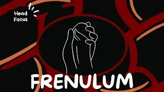 A guide to PENIS Pleasure | Practice # 2