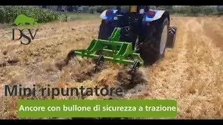 Ripuntatore 