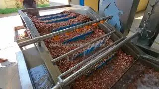 Peanut washer machine