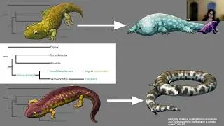 ESCONI Paleontology Meeting June 2025 