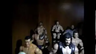 WWE Figures for Trade Update