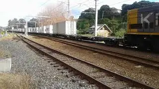 Train 262 with DXB 5074 at speed  through Paekakariki
