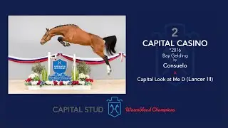 LOT 2 CAPITAL CASINO