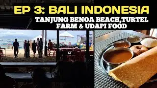 EP 3 : Tanjung Benoa Beach & Turtle Conservation 🌊 Indian Udapi Food !