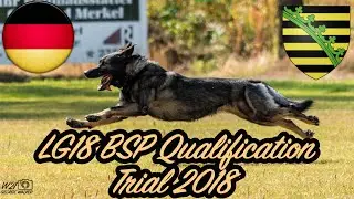 LGA Sachsen LG18 BSP 2018 qualification IPO Trial compilation
