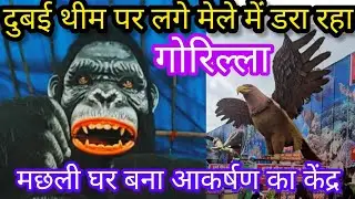 बड़ी बड़ी मछलियाँ देखकर सैलानी दबा रहे दांतो तले उंगलियां,#abhayrajnews#gwalior#latestnews