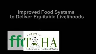 Improved Food System to Deliver Equitable Livelihoods