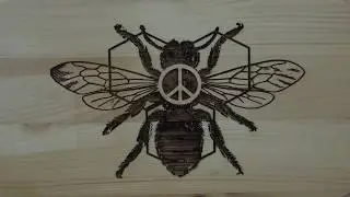 The Hollow Farm & Apiary