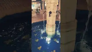 world's worst designed sink