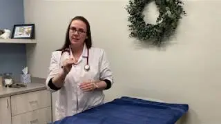 Dental Disease in Dogs - What you need to know!
