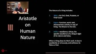 Aristotle's Ethics Part II Human Nature