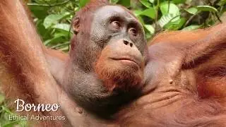 On the Road Less Travelled with Borneo Ethical Adventures