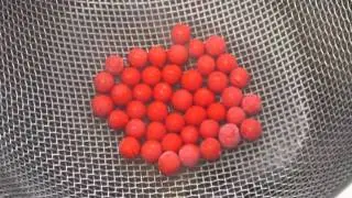 The NIH Clinical Center's Guide to Blood Droplet Freezing