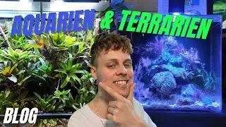Aquarien-  und Terrarientage in Hamburg | mit Tony | Blog