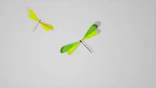 Sunset Mesa - Dragon Fly :30