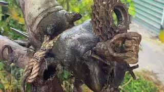 Animal Rescue Video: Cow Hoof Injury Caused by Iron Bar - Cow daily