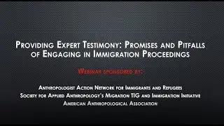Providing Expert Testimony: Promises and Pitfalls of Engaging in Immigration Proceedings