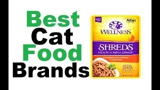 best cat food brands | Best Cat Food Brands 2018||