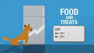 Maintain a Healthy Weight for Your Pet!