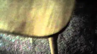 taz 001
