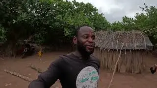 Ramasser des noix de cajou casse le dos.