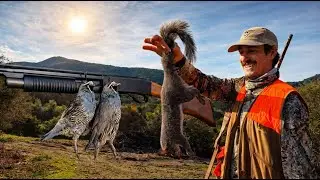 California Quail & Gray Squirrel Hunt - Sierra Foothills