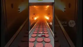 How to make 20,000+ burgers in a day? Money Sheep tell the truth behind Money Sheep Burgers factory!