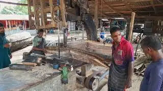 Monster & Curved Tree Cutting|| Dangerous Heavy Duty Tree Cutting Timber Bill|| BD Sawmill Asia