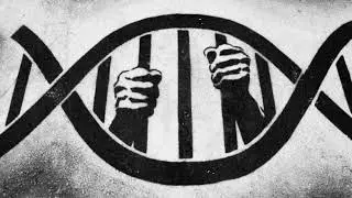 CELLS OF A GOD &ndash; Instant DNA Upgrade & Cosmic Bloodline Activation