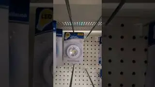 dollar Tree find #canada #momlife #kamloops #dollartree #pushlight