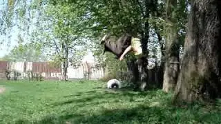 MOV03657