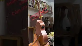 Custom  semi Classic - Full  soliss - Top Cerda ( Gi&aacute; 4.500.000 vnd )