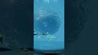 ABZ&Ucirc; | Shark Week 2023 - Oceanic Whitetipped Shark