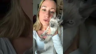 ДЛЯ ЧЕГО ЖЕНЩИНА В ДОМЕ?