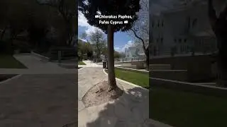 #chloraka #chlorakacyprus #cyprus #cyprusinmarch #offseasontravel #paphos #paphoscyprus #solotravel